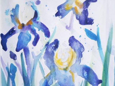 IRISI 1 20X30 cm acuarele 2017 grosari adrian