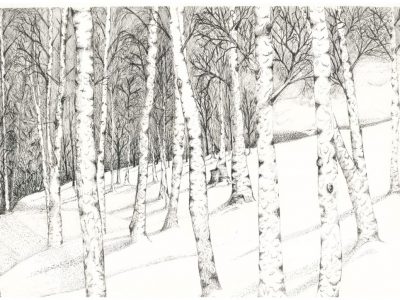 Mesteceni 30x40 cm