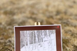 Expozitie-Dealul-Crucii-Putna-03